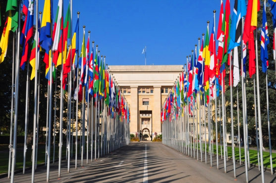 日内瓦联合国总部